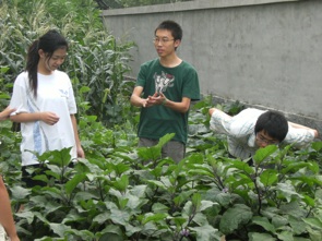 Ao Xiang Farm